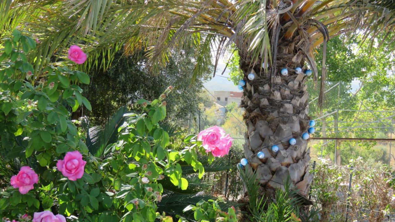 Monte Madalena Villa Adega Luaran gambar
